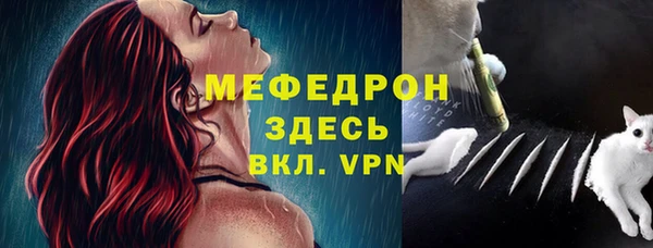 стаф Вяземский