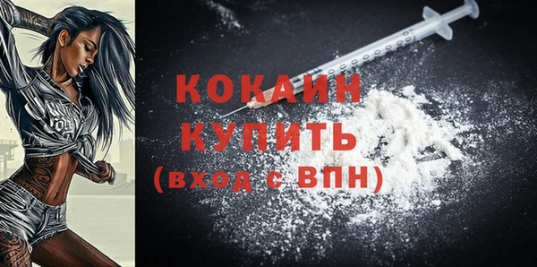 стаф Вяземский