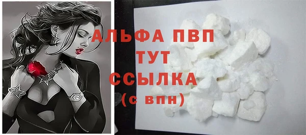 стаф Вяземский