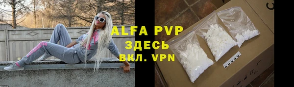 стаф Вяземский