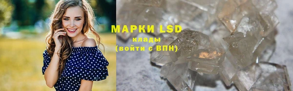прущие грибы Вязники