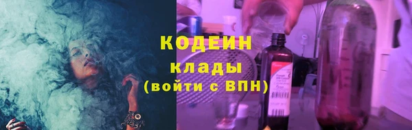 прущие грибы Вязники