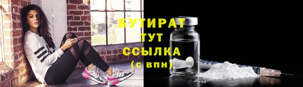 прущие грибы Вязники