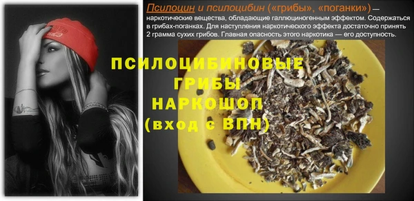 стаф Вяземский