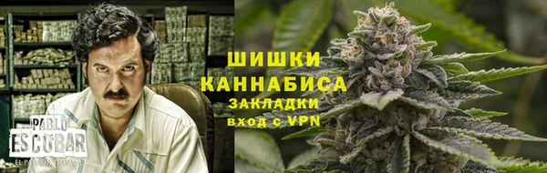 прущие грибы Вязники