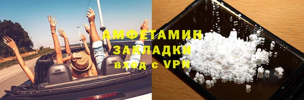 прущие грибы Вязники