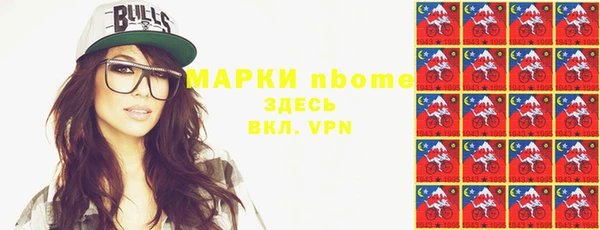 прущие грибы Вязники